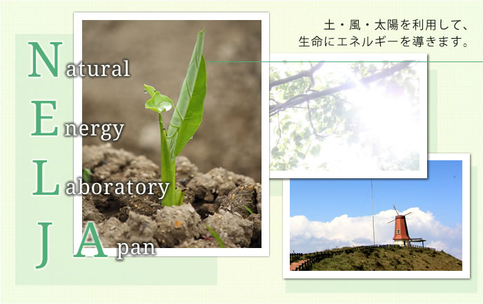 NELJAiNatural Energy Laboratory JAPANj́AyyEEzz𗘗pĐɃGlM[𓱂܂B